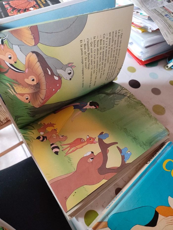 Cendrillon et Blanche-Neige de Walt Disney - photo numéro 6