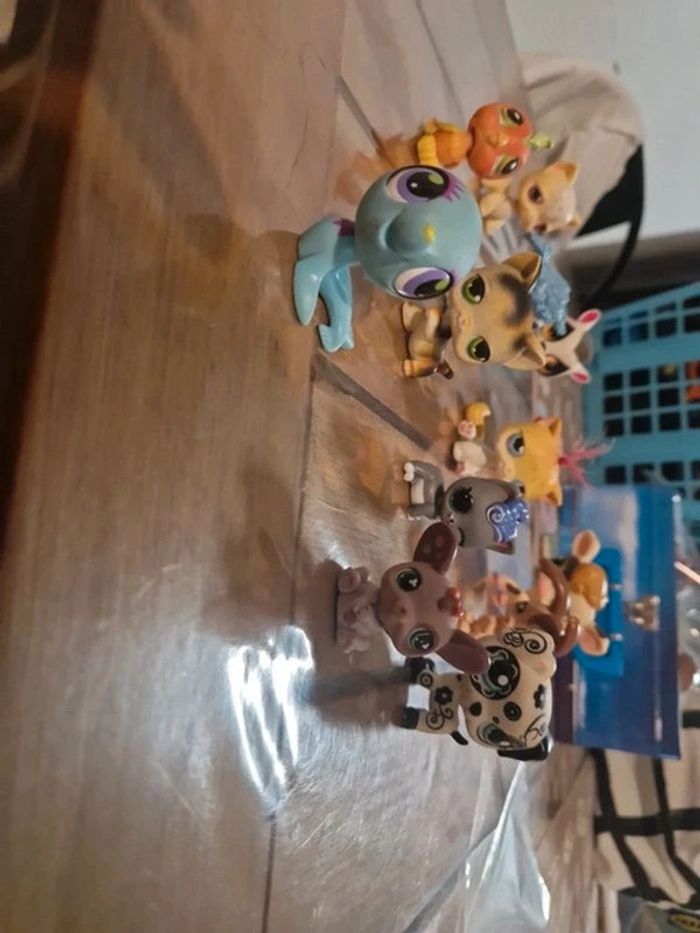 Lot petshop - photo numéro 7