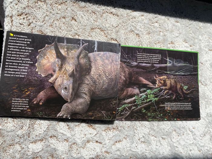 Livre pop up je suis un tricératops - photo numéro 8