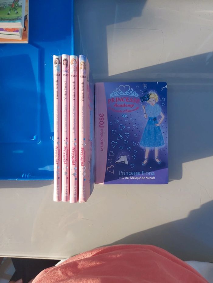 Livres princesse academy - photo numéro 3