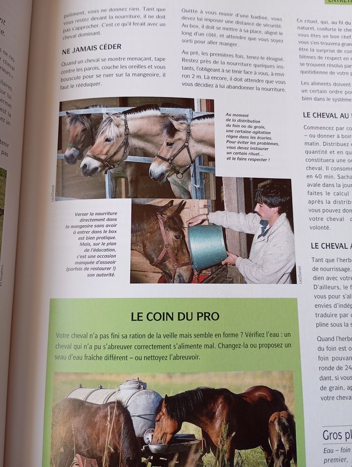 L'équitation les techniques de base - photo numéro 5