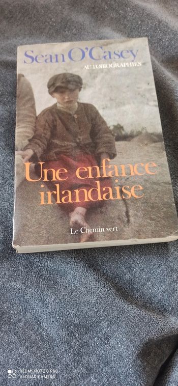 Livre une enfance irlandaise