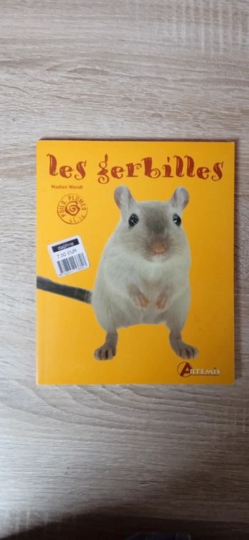Les gerbilles