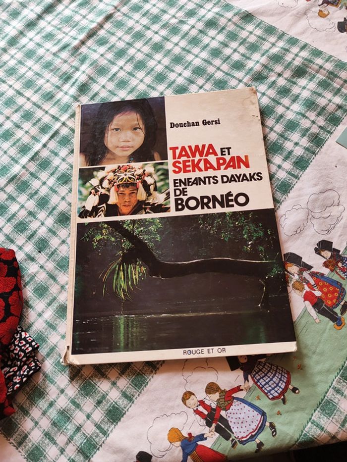 Tawa et sekapan enfants dayaks de borneo