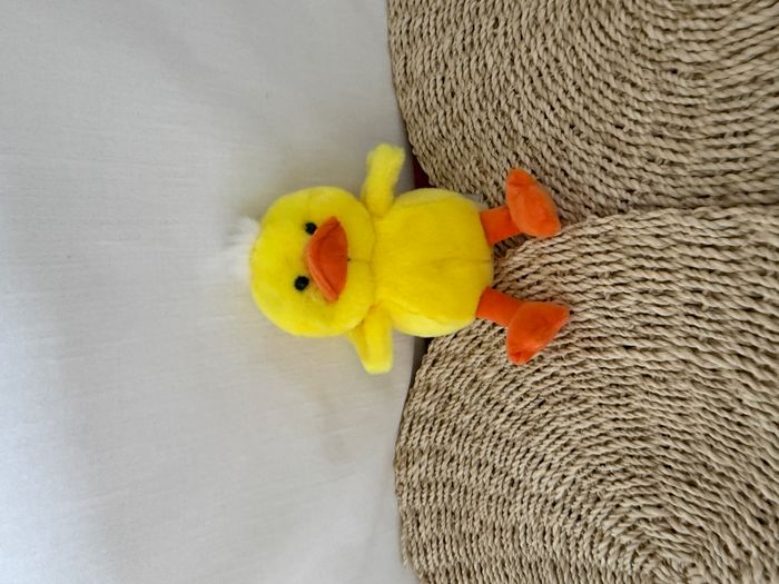 Les P'Tits Gardenous 14 Cm - Canard gipsy - photo numéro 2