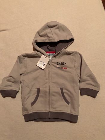 Gilet à capuche zippé gris neuf
