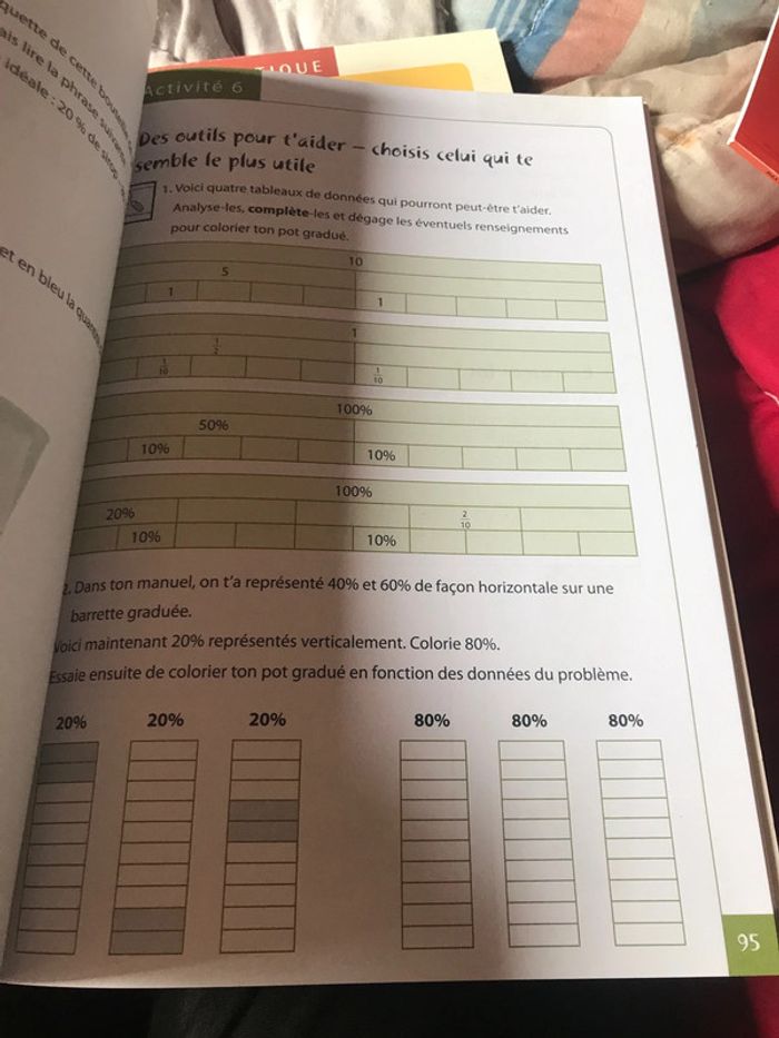 Tatou 4 math Plantyn - photo numéro 8