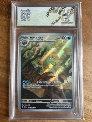 Amonita Collect Aura 9.5 FR