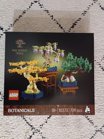 Lego 10373 - Mini Bonzaïs