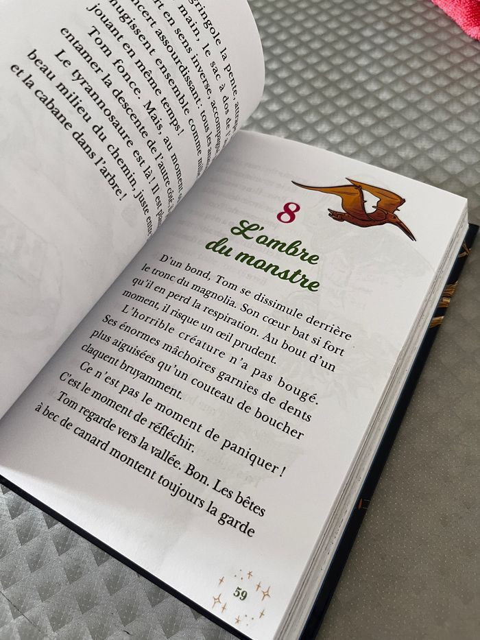 La cabane magique éditions collector. Les 4 premier tomes réunis - photo numéro 5