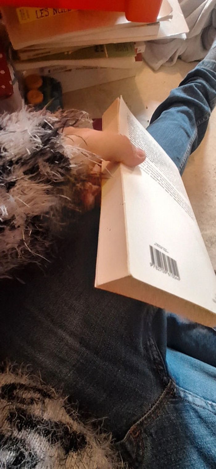 Israël au quatre vent du ciel livre - photo numéro 4