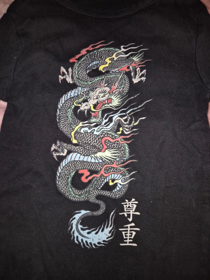 Haut dragon - photo numéro 3