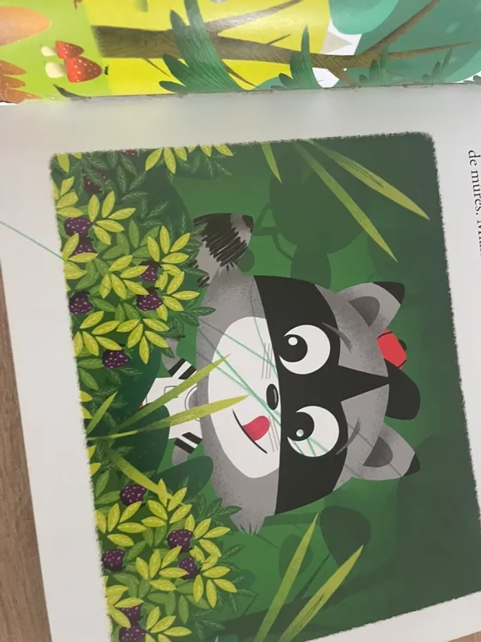 Mes petites histoires d’animaux mes p’tits albums - photo numéro 10