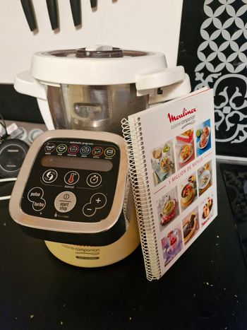 Moulinex companion