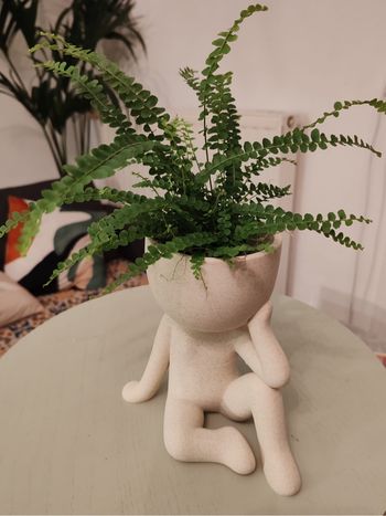 Pot de fleur bonhomme