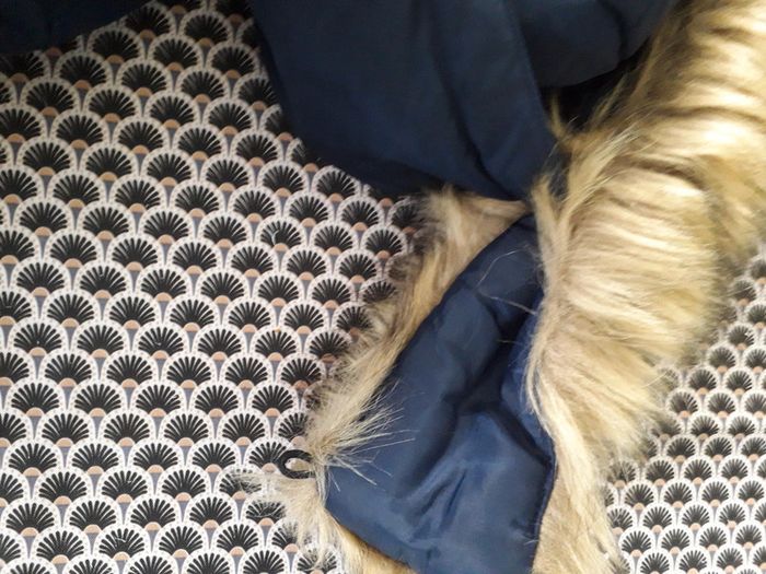 parka chaude - photo numéro 3