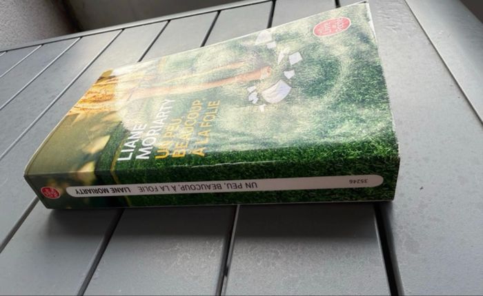 Livre « un peu, beaucoup, à la folie » - photo numéro 4