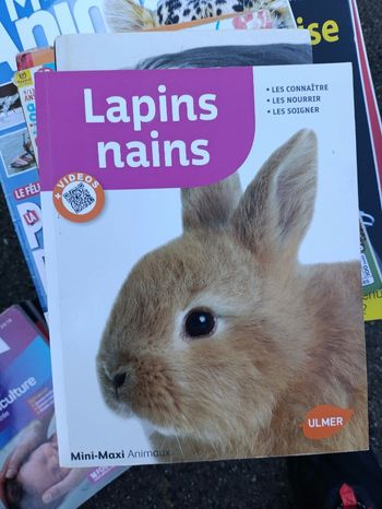 Différents livres (lapins, chiens, furets, chatons, poules, gorilles)