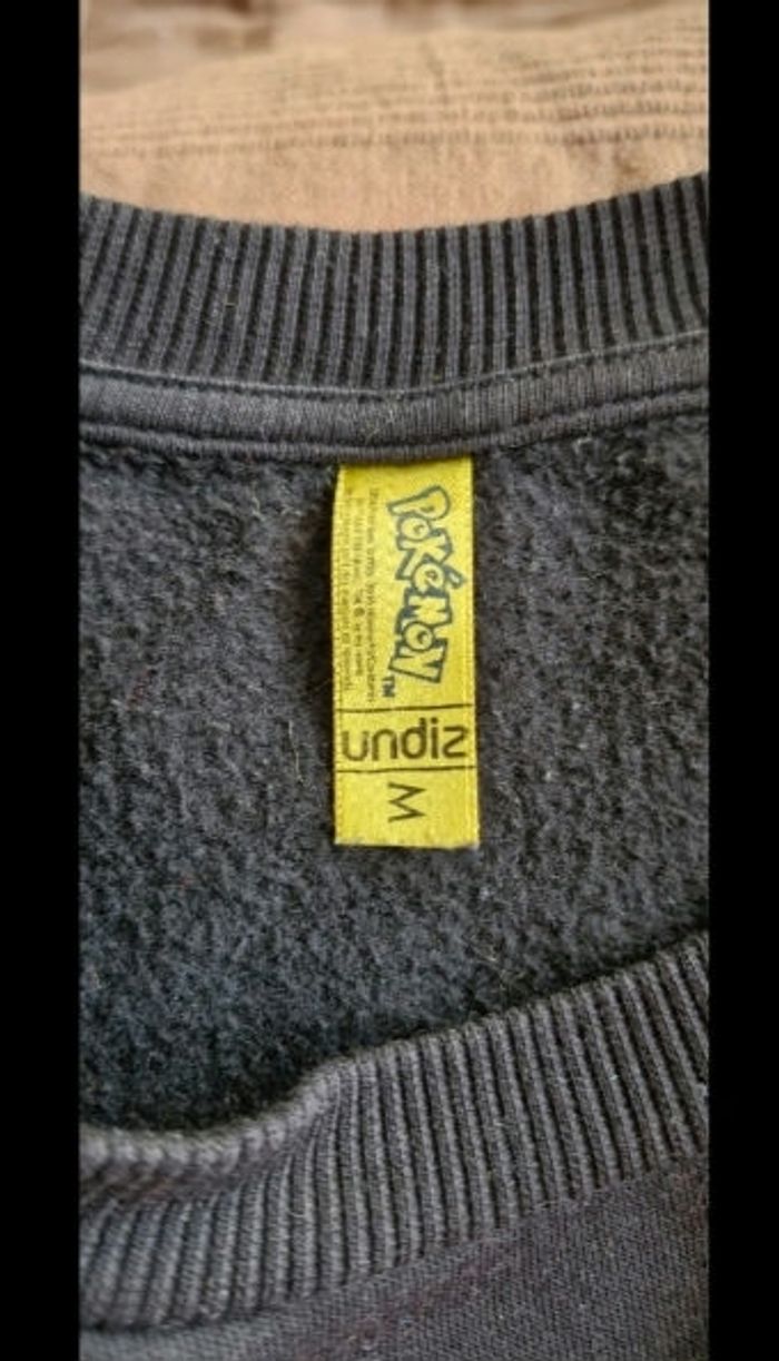 Sweat pokemon - photo numéro 2