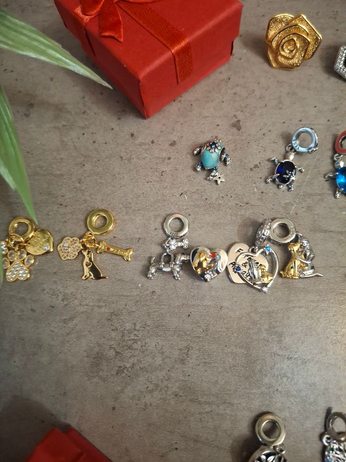 Diverses charms pour bracelet pandora - photo numéro 4