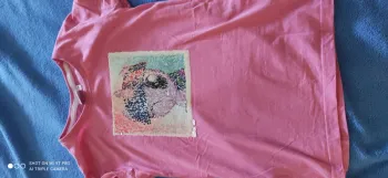 Tee shirt petit poney 10 ans