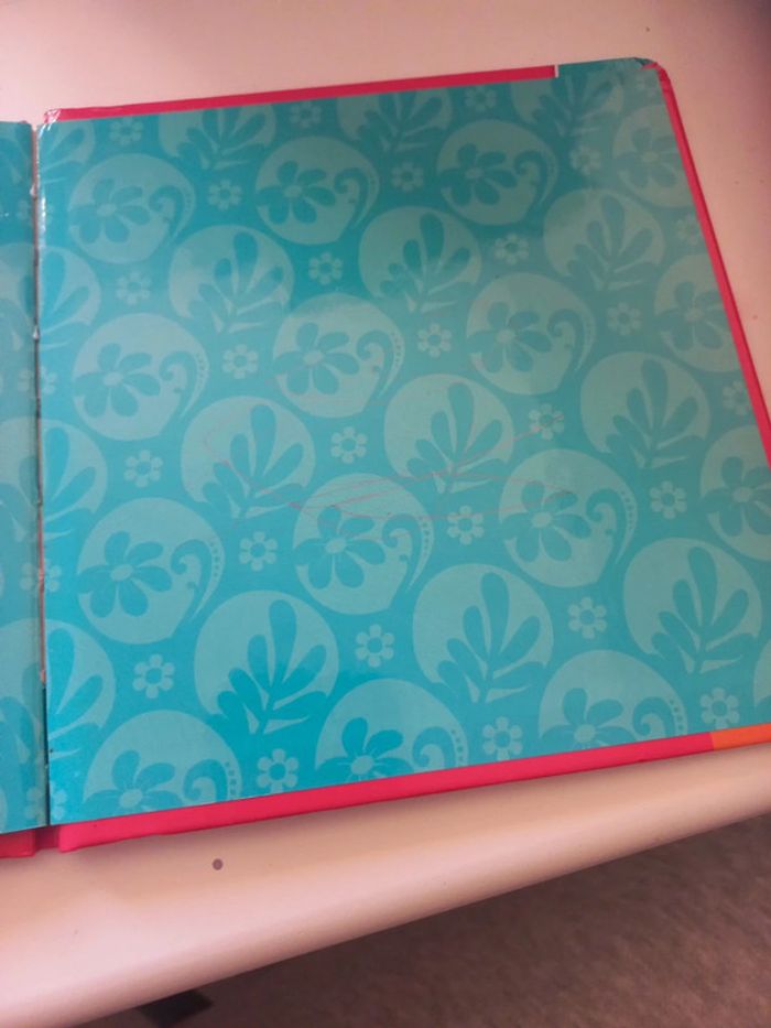 Livre Dora - photo numéro 6