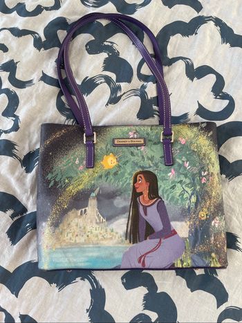 Dooney et bourke Disney