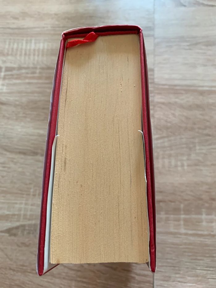 La consolante - photo numéro 4