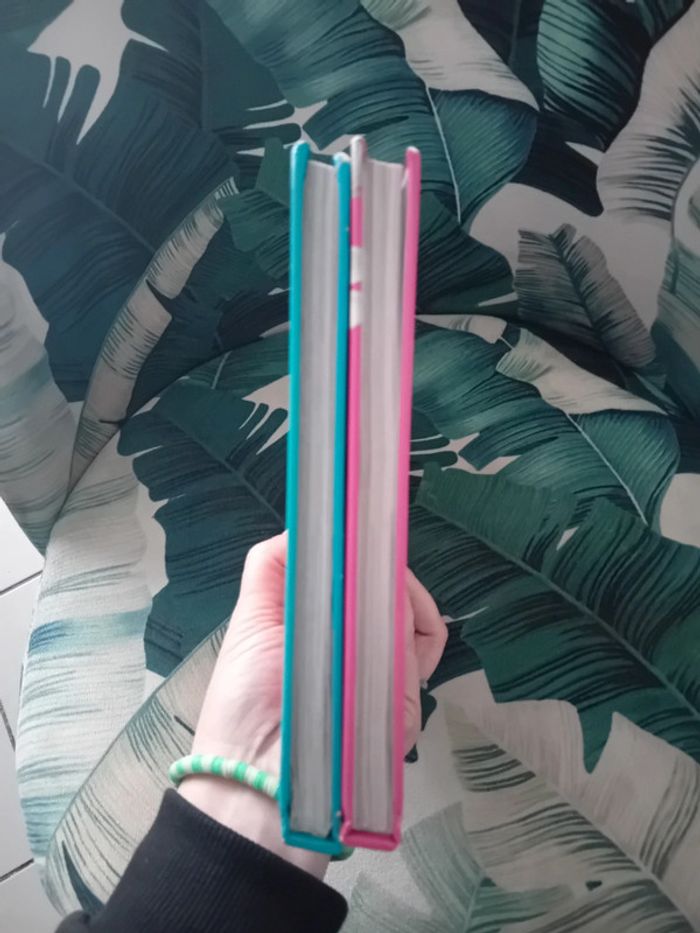 Lot de 2 livres disney tbe - photo numéro 6