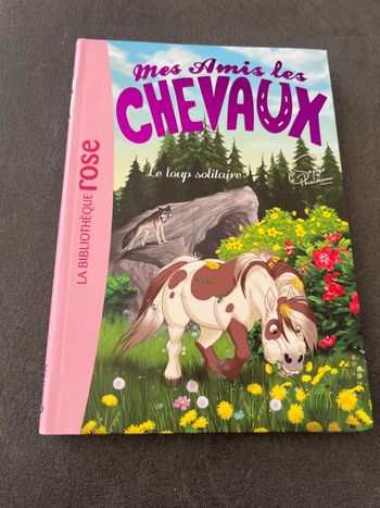 Livre bibliothèque rose mes amis les chevaux tome 8