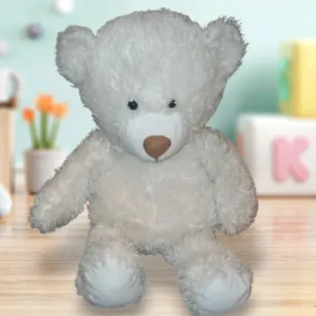 Ours en peluche
