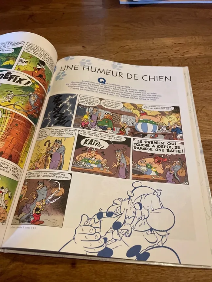 Livre BD Bande dessinée Le meilleur d’Asterix et Obélix Idéfix - photo numéro 9