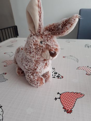 Peluche Lapin (18 cm)