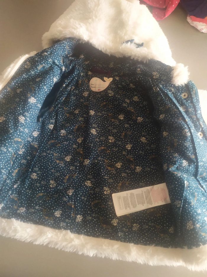 Jolie veste - photo numéro 6