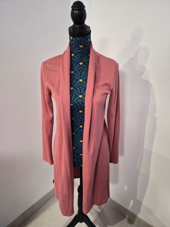 Gilet long jusqu'au genou, vieux rose, MOOIJ, S/M