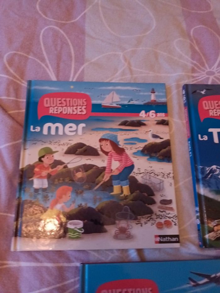 Lot de 2 livres questions réponses + 1 offert - photo numéro 2