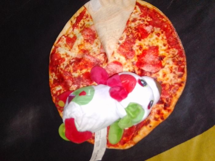 Chien pizza - photo numéro 2