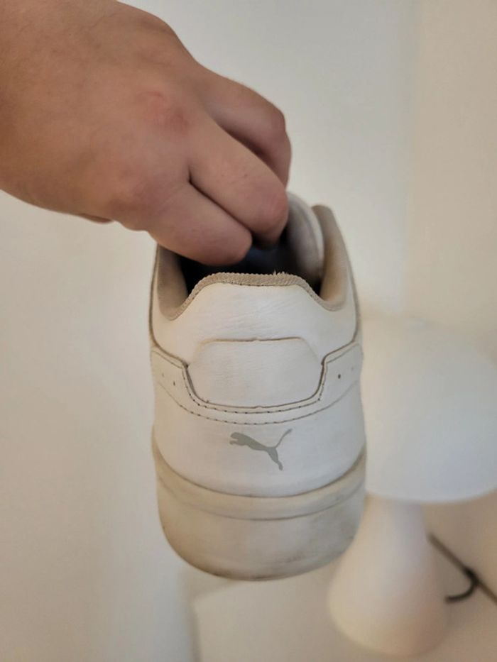 Baskets puma - photo numéro 5