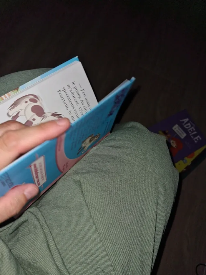 Bibliothèque rose mes amis les chevaux - photo numéro 3