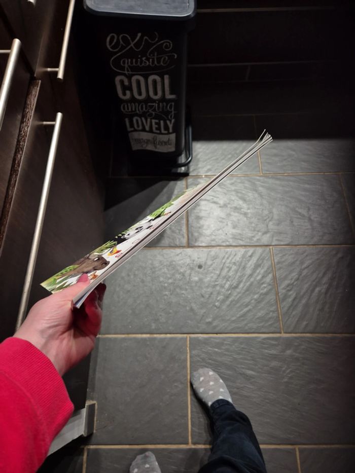 Livre la grande chorale du monde - photo numéro 3