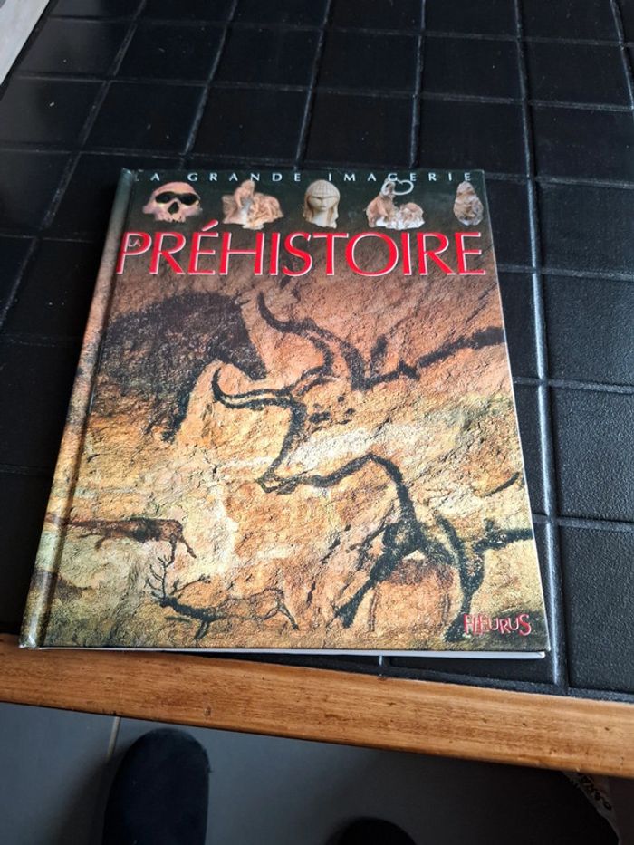 Livre la préhistoire