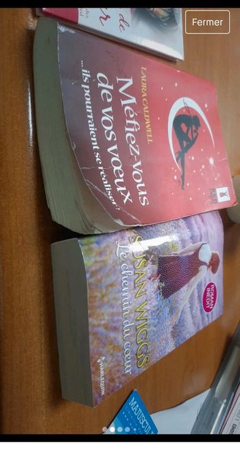 Lot de 2 livre romance