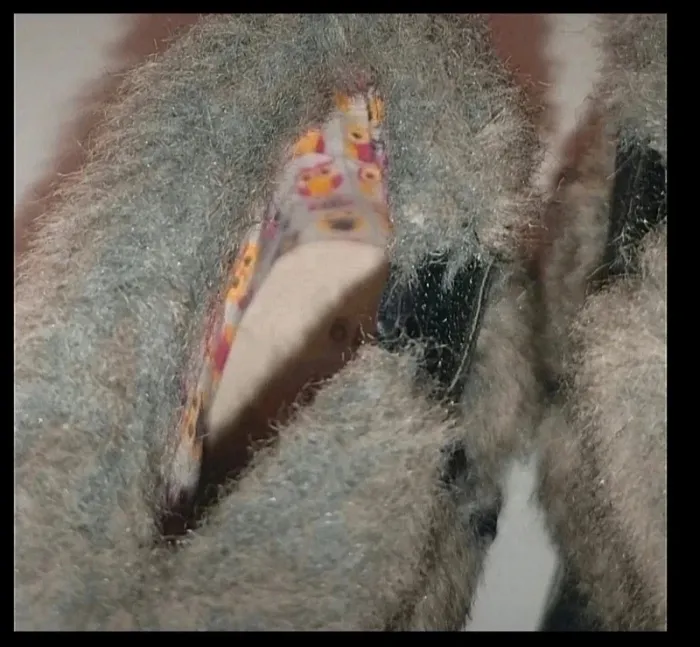 💮🌸bottes fourrures 🌸💮 - photo numéro 3
