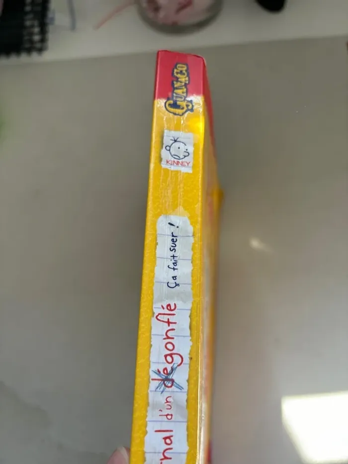 Livre journal d’un dégonflé tome 4 - photo numéro 3