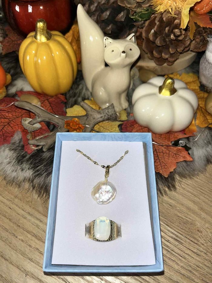 Parure bijoux - photo numéro 2