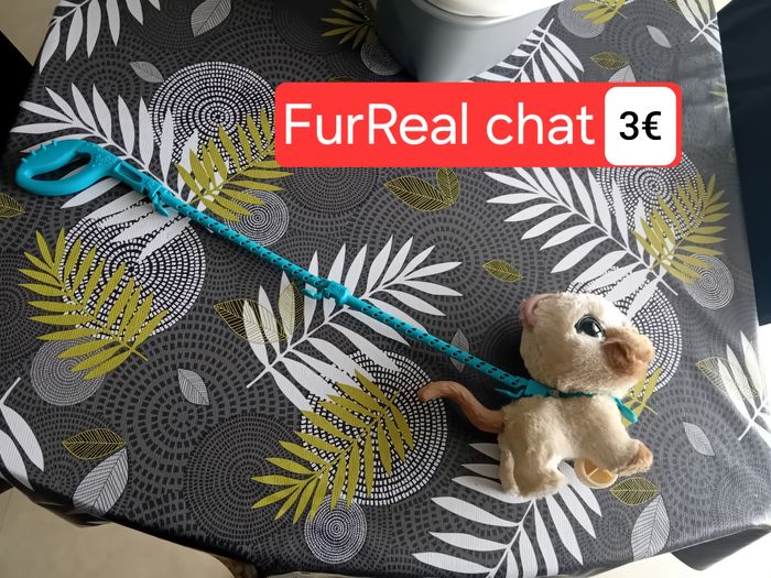 Fureal chat - photo numéro 3