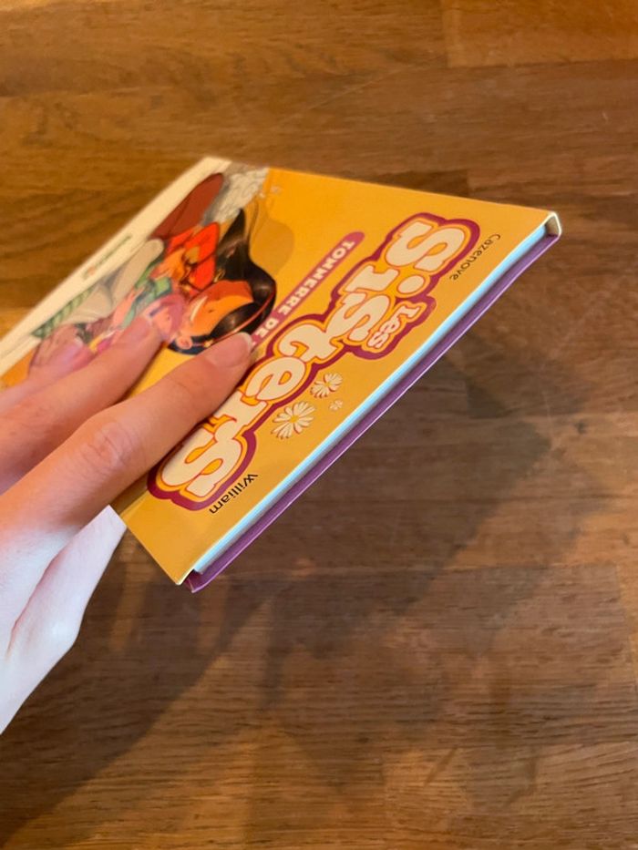 Livre roman Les Sisters Tonnerre de tendresse Numéro 6 - photo numéro 5