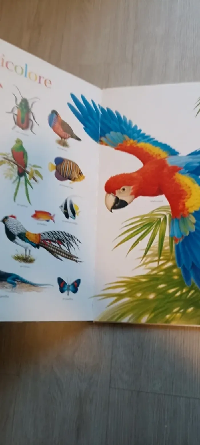Livre géant la couleur des animaux - photo numéro 3