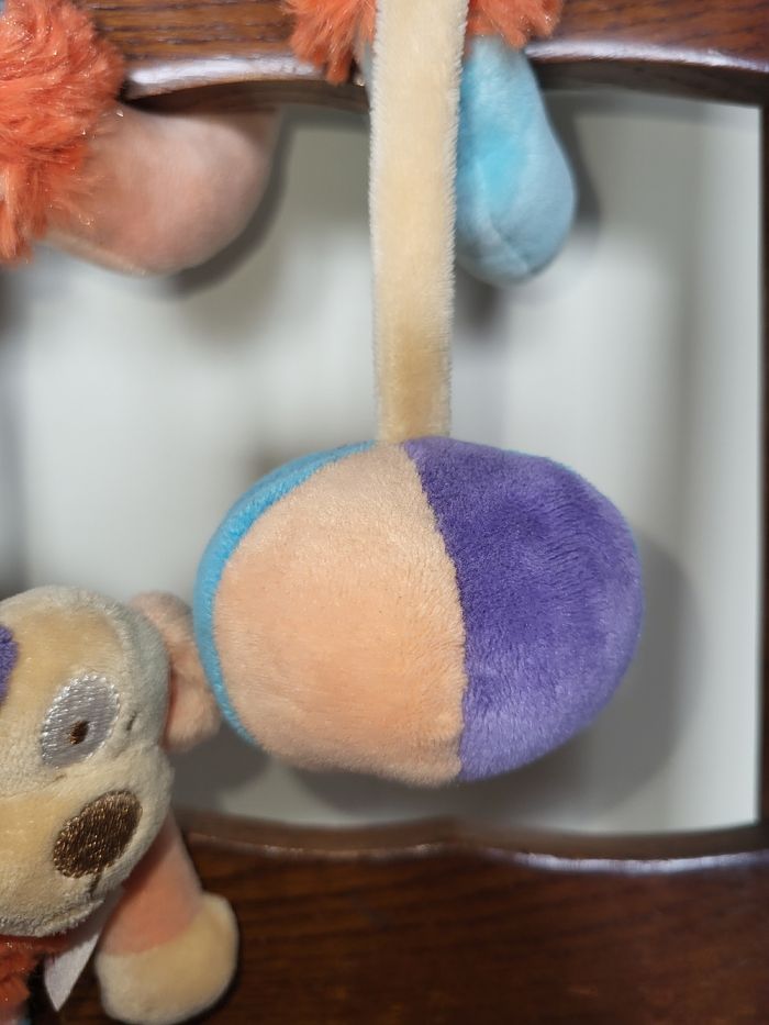 Spirale d'activité chien Doukidou - photo numéro 3