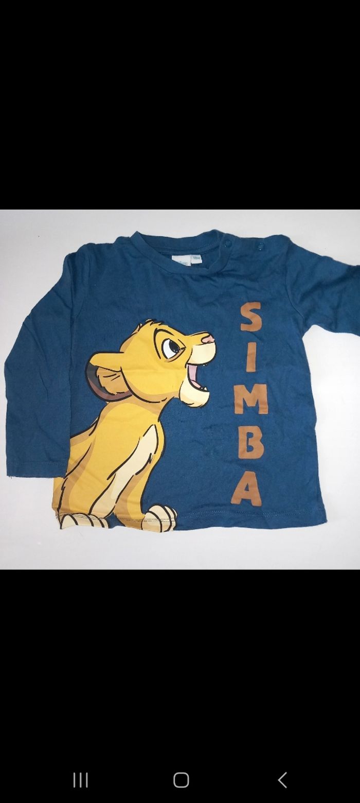 pull fin simba